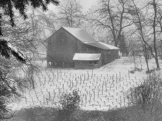 Oregon Snow